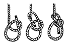 bowline